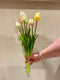 Tulpen Bos - Lang - Pastel Mix Geel/Wit