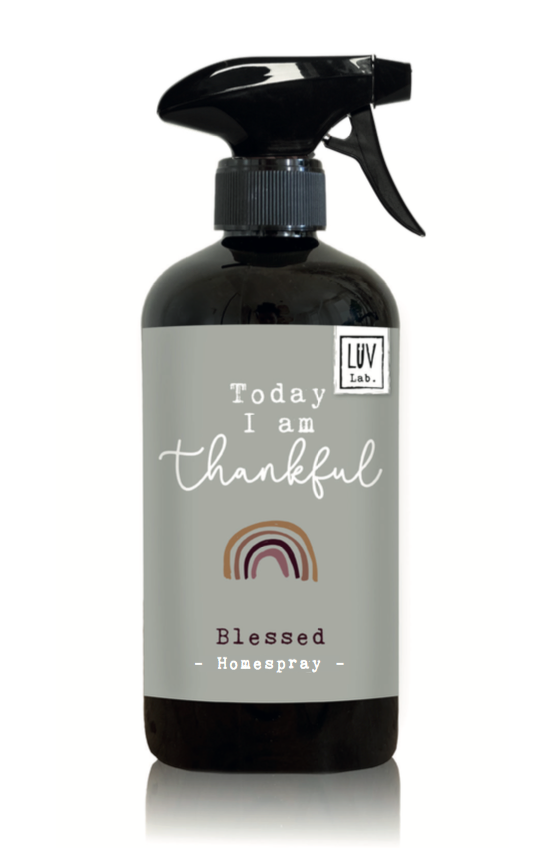 8x LUV Lab. Luxe Homespray - Blessed - Per doos