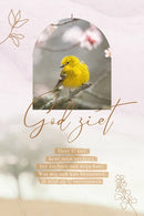 Kaart Sela Songs - 7950 - God ziet