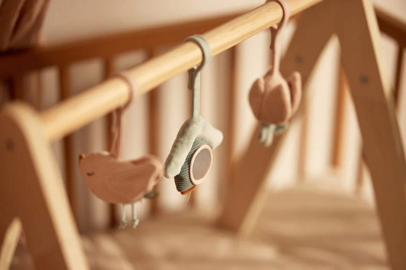 Babygym Speeltjes - Lovely Birds
