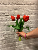 Tulpen Bos - Middel - Rood