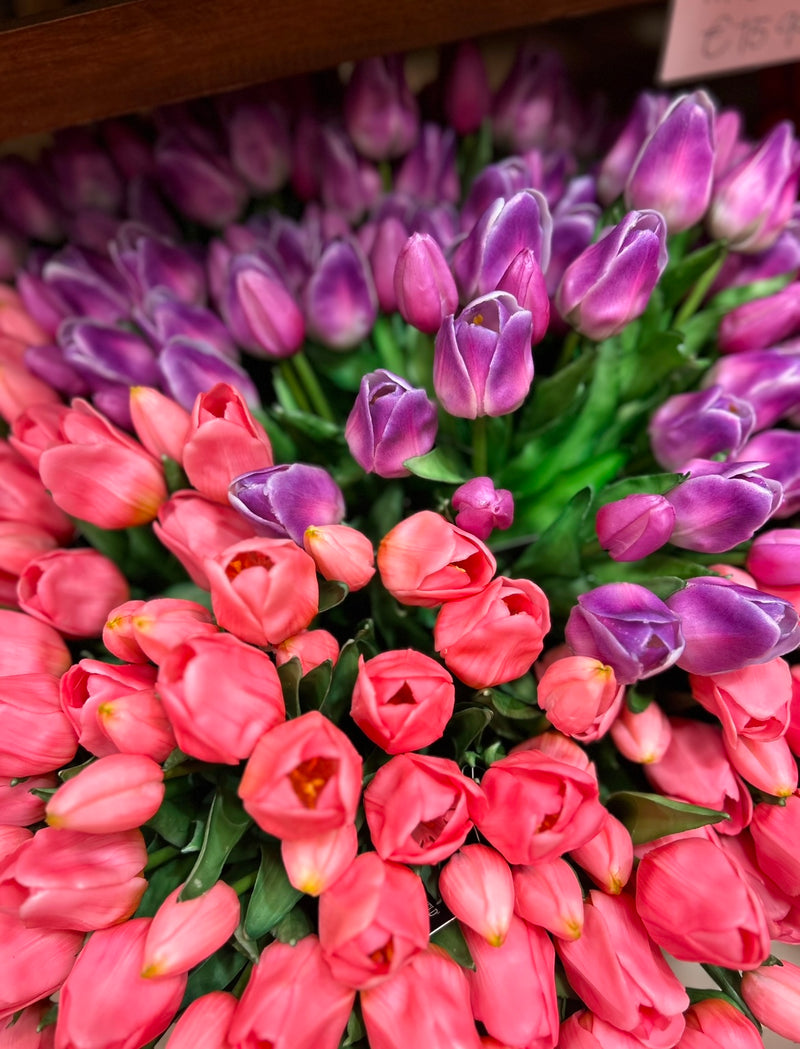 Tulpen Bos - Middel - Paars/Wit