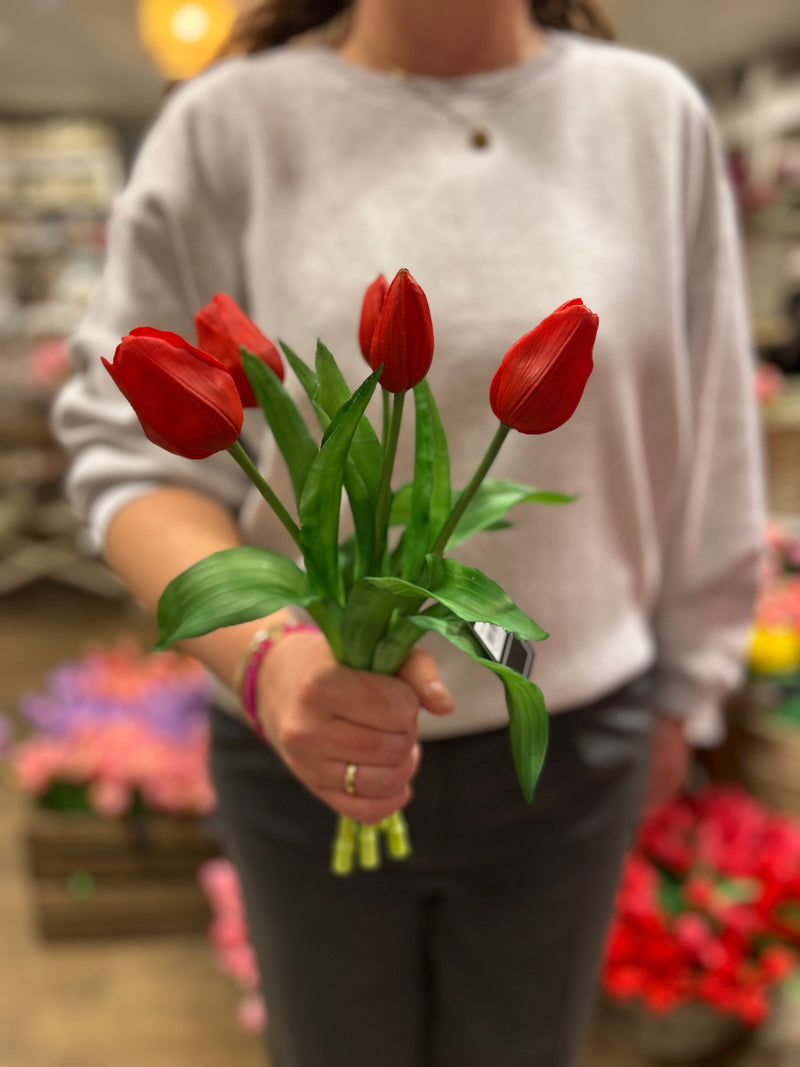 Tulpen Bos - Middel - Rood