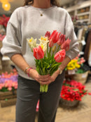 Tulpen Bos - Lang - Paars