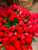 Tulpen Bos - Middel - Rood