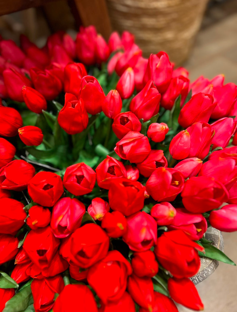 Tulpen Bos - Middel - Rood