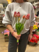 Tulpen Bos - Lang - Paars