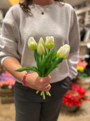 Tulpen Bos - Middel - Wit