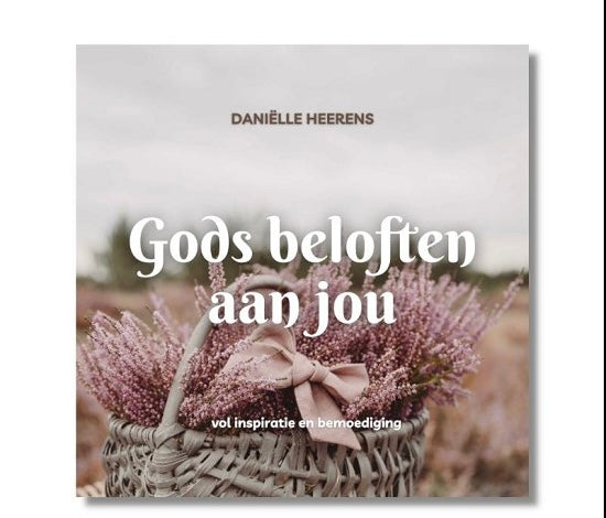 Gods beloften aan jou - Daniëlle Heerens