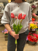 Tulpen Bos - Lang - Roze