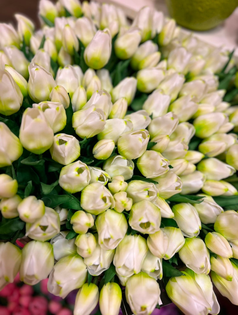 Tulpen Bos - Middel - Wit