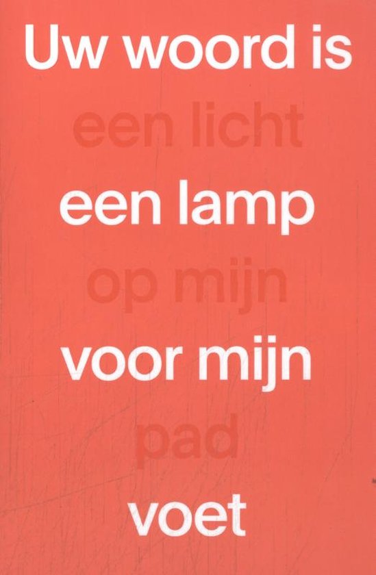 NBV21 Paperback Bijbel - Midprice