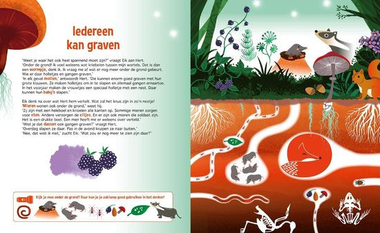 Speuren/zaklamp - Speuren in het bos