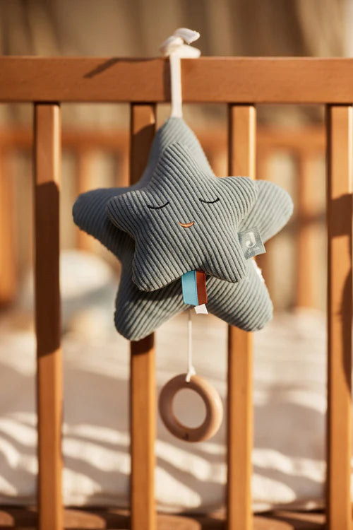 Jollein - Muziekhanger - Star sea green
