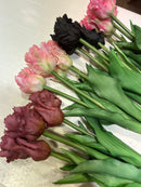 Papegaai Tulpen Bos - Lang - Paars