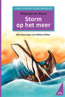 Storm op het meer - Willemijn de Weerd