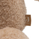 Jollein - Knuffel met Licht en Geluid - Bear Brave