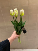 Tulpen Bos - Lang - Wit