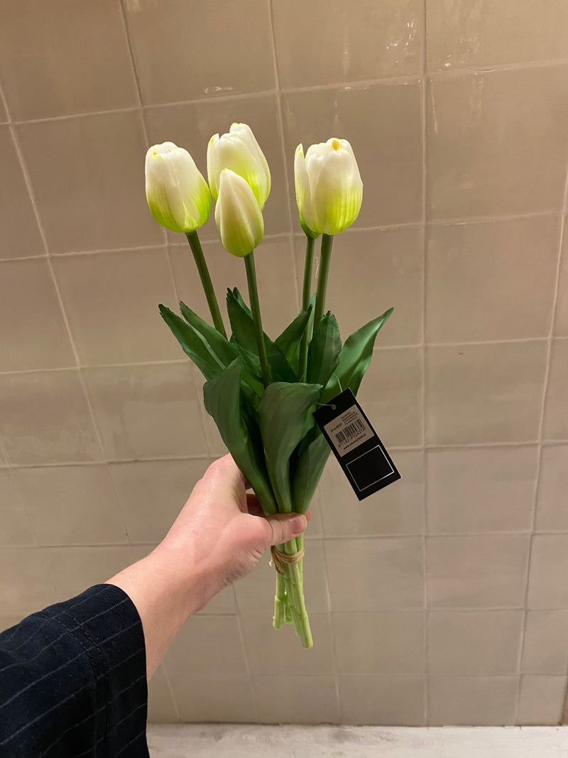 Tulpen Bos - Lang - Wit