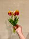Tulpen Bosje - Kort - Roze/Geel