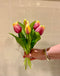 Tulpen Bos - Middel - Roze/Geel