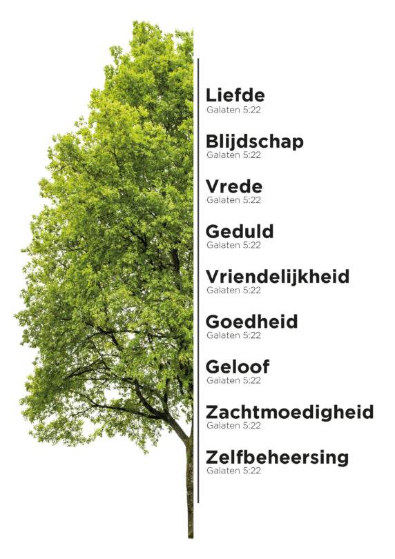 Interieurbord A4 - Boom