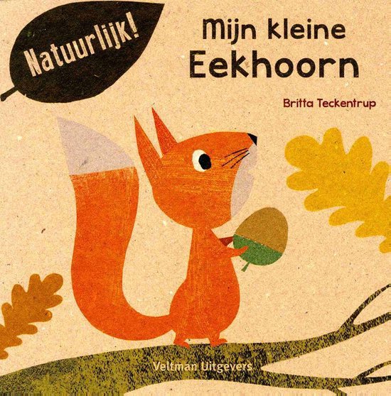 Mijn kleine eekhoorn