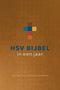 Bijbel in één jaar - HSV 365x vertelling, onderwijs & wijsheid