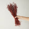 LUV Droogbloemen - Bunch Alsi Grass