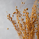 LUV Droogbloemen - Bunch Alsi Grass