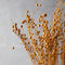 LUV Droogbloemen - Bunch Alsi Grass