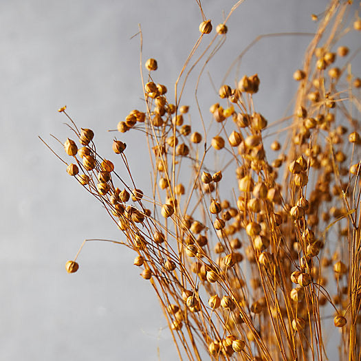 LUV Droogbloemen - Bunch Alsi Grass