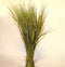 LUV’s DROOGBLOEMEN - Dried Hordeum Natural