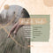 Kaart sela songs - Rust en vrede