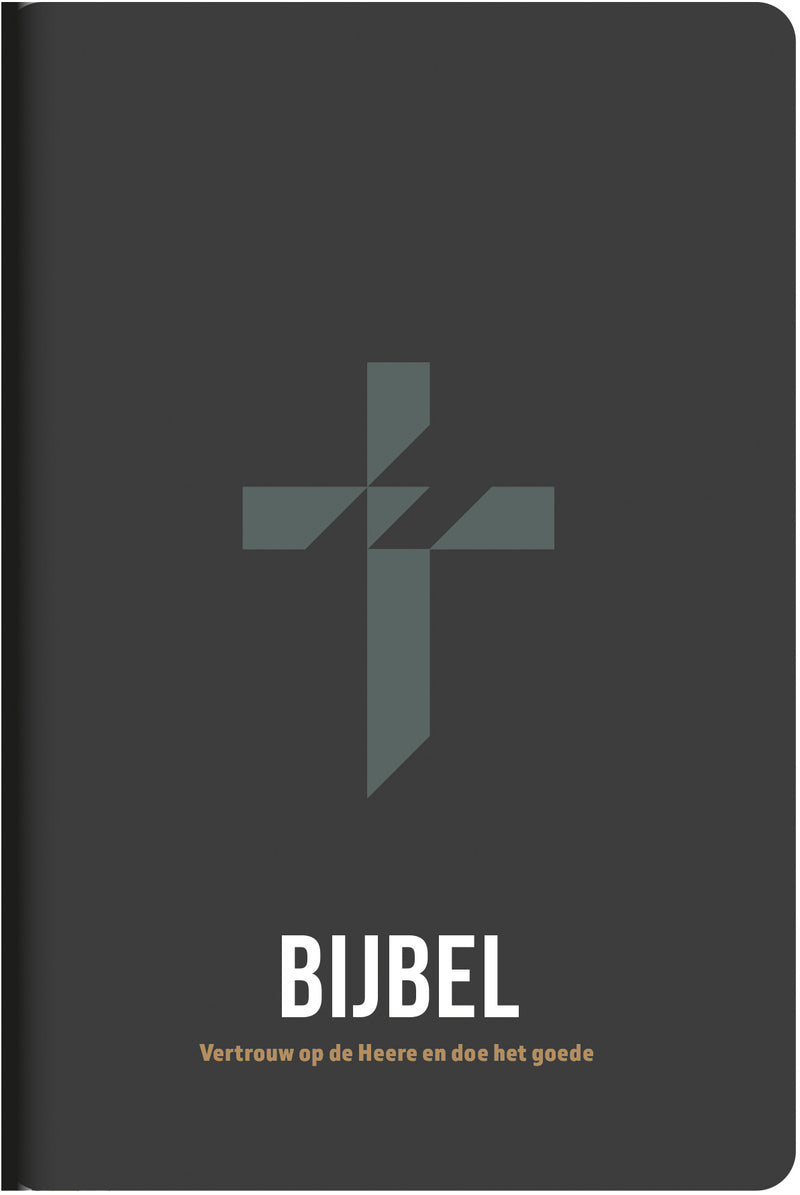 HSV jongensbijbel - met psalmen