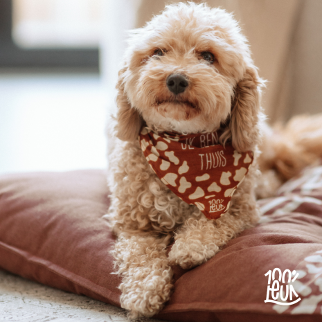 100% Leuk - Hondenbandana