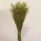 LUV Droogbloemen - Bunch Lypidium