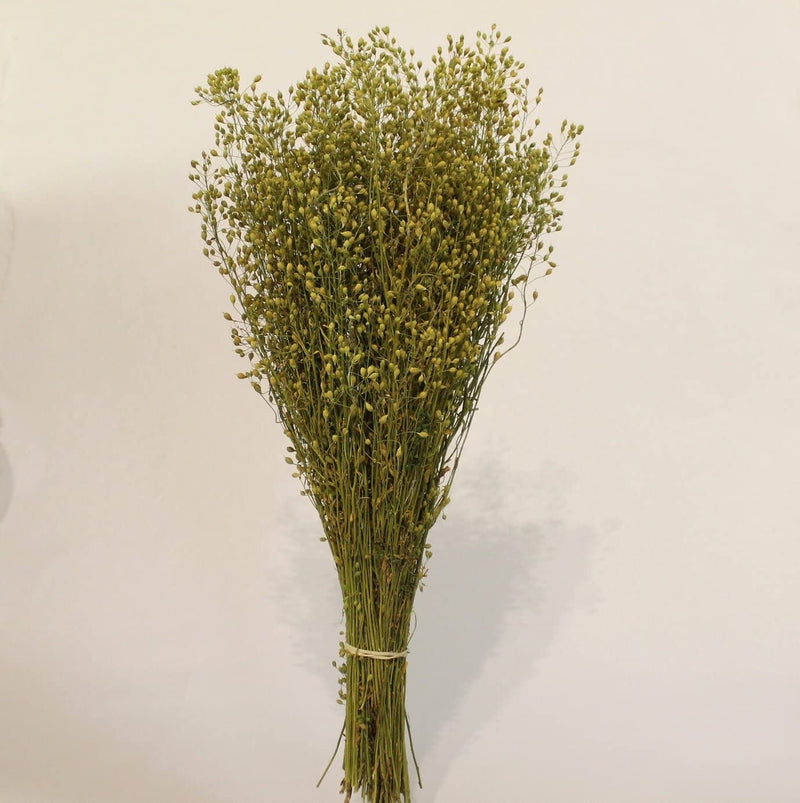 LUV Droogbloemen - Bunch Lypidium