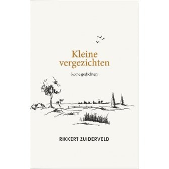 Kleine vergezichten - Rikkert Zuiderveld