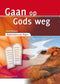Gaan op Gods weg - Tanno Verboom