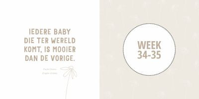 Mijn Negen Maanden - Babyboek