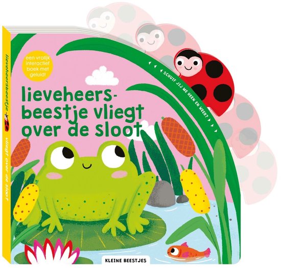 Lieveheersbeestje vliegt over de sloot