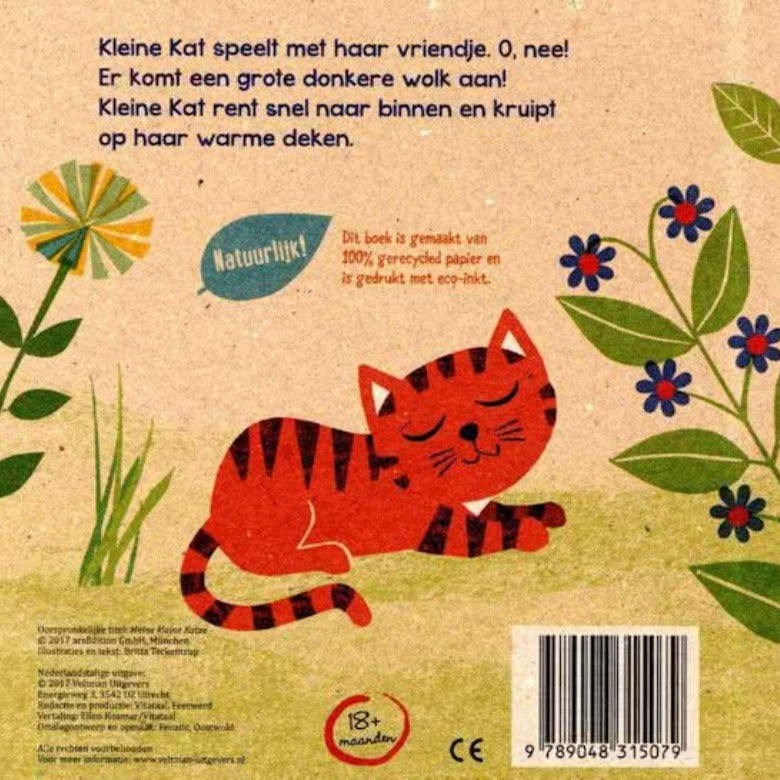 Mijn kleine kat